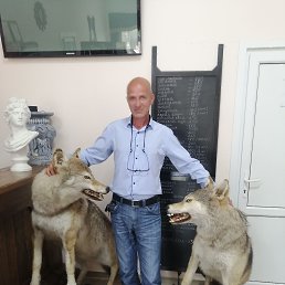 , 49, 