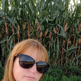 ����, ��������, 100 ���