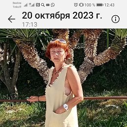 �������� ���������, �����������, 58 ���