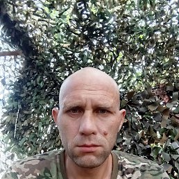 , 37, 