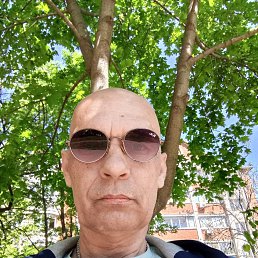 , 53, 