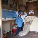 ���� �����, �������� - ��������� 31 ������ 2026