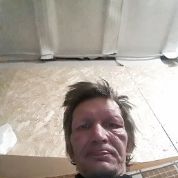 , 41, 