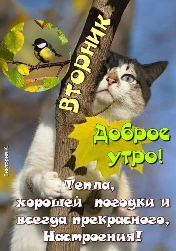  - 23  2024  12:58