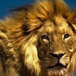 ���� ������, ������, 39 ��� - ��������� 19 ����� 2024