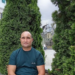 , 43 , 