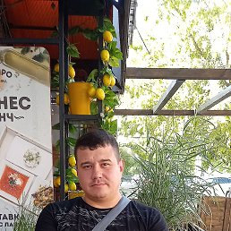 , 37, 