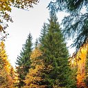 ���� �����, ���������, 51 ��� - ��������� 10 �������� 2024 � ������ ���� ����������