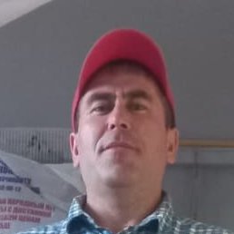 ��������, �����-���������, 41 ���