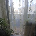 ���� Spravedlivyj, �������, 44 ���� - ��������� 29 ������� 2025