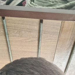 , 44, 