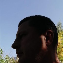 ���, ������, 46 ���