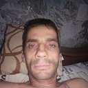   , , 41  -  19  2024    