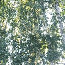 ���� ��������, �����������, 35 ��� - ��������� 30 ������ 2024 � ������ ���� ����������