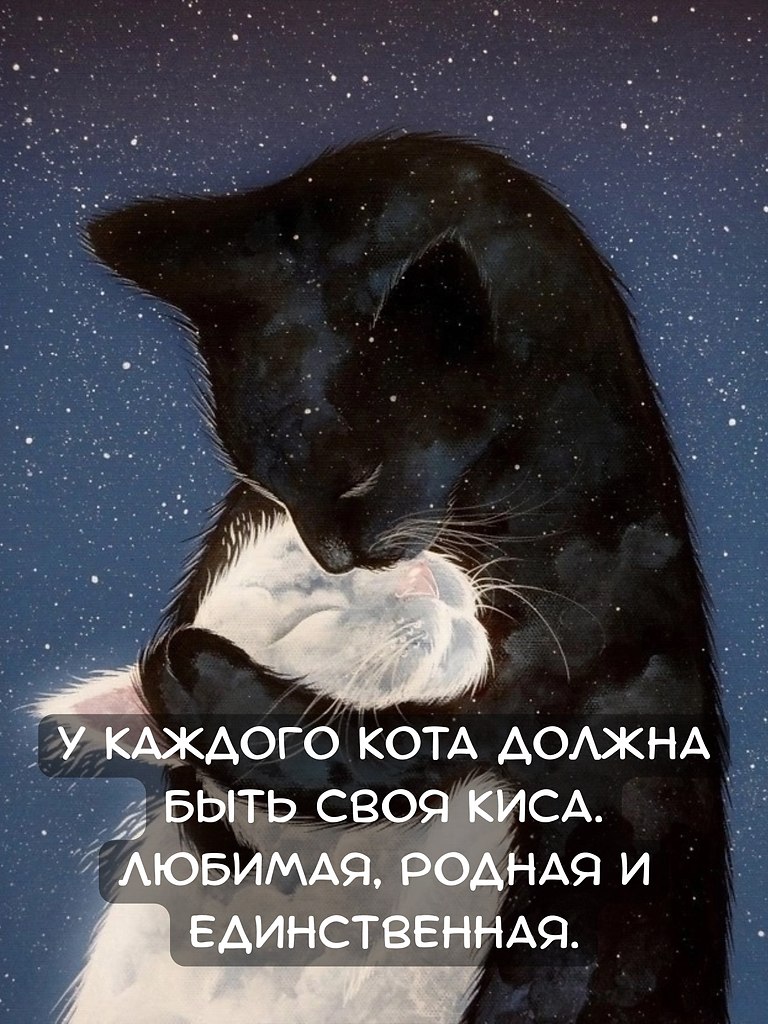   - 24  2025  11:56