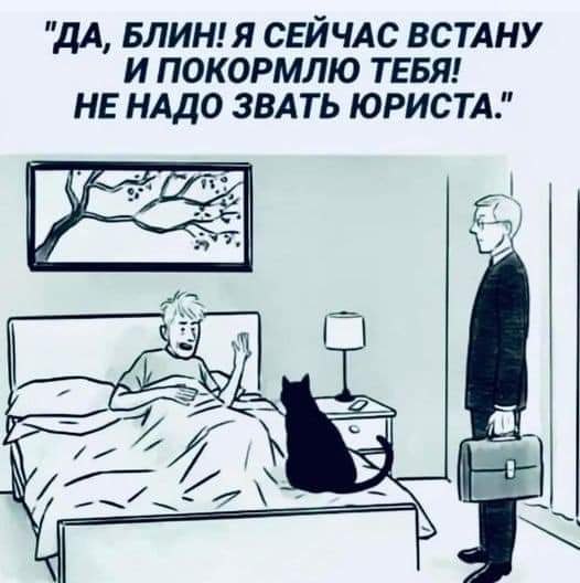   - 6  2023  06:38