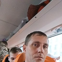 �����, 41 ���, ������