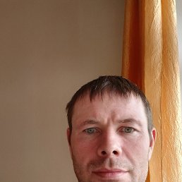 ������, 41 ���, ���������