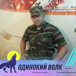 ���, ������, 41 ���