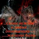 ���� ������, ������, 39 ��� - ��������� 6 ������� 2026 � ������ ���� ����������