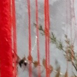 ����, �����, 60 ���