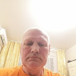  , 56, 