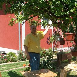 Aleksandar, �������, 58 ���