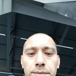 , 33, 