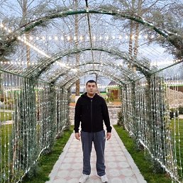 ���� �����, ������ �������, 31 ��� - ��������� 11 ����� 2024