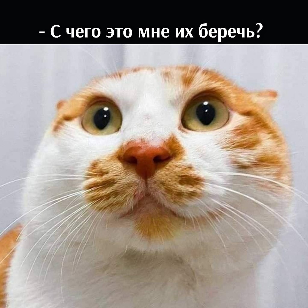 , ) - 3
