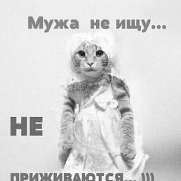  , , 68  -  18  2023