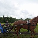 ���� ��������� �������, ��������, 64 ���� - ��������� 26 �������� 2025