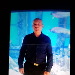 �����, ������, 60 ���