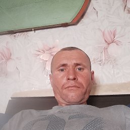  , 41 , 