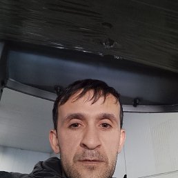 , 37, 