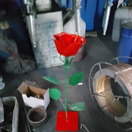  , , 41  -  8  2025