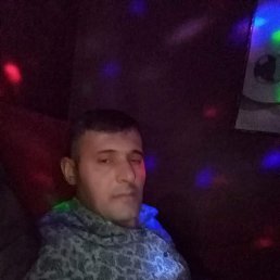 ���� �����, ����, 49 ��� - ��������� 25 ������� 2024