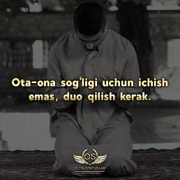 ���� Bek, ���������, 31 ��� - ��������� 11 ��� 2026