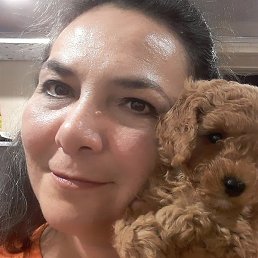 �����, ����