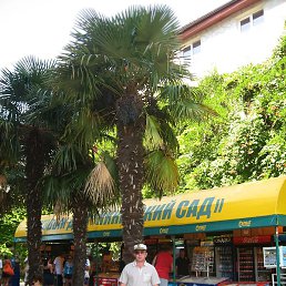 ����, �������, 55 ���