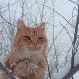 ���� �����, ������, 20 ��� - ��������� 27 ������� 2023