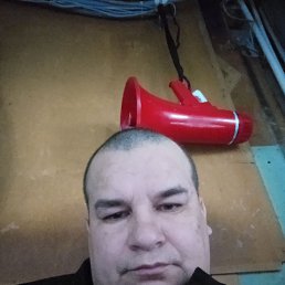 , 41, 