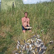 ����� �����, 43 ����, ������