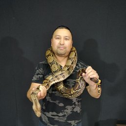 ���� �����, ������, 37 ��� - ��������� 29 ������� 2024