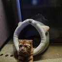 ���� ��������, ������ - ��������� 25 ������ 2025 � ������ ������ ��������