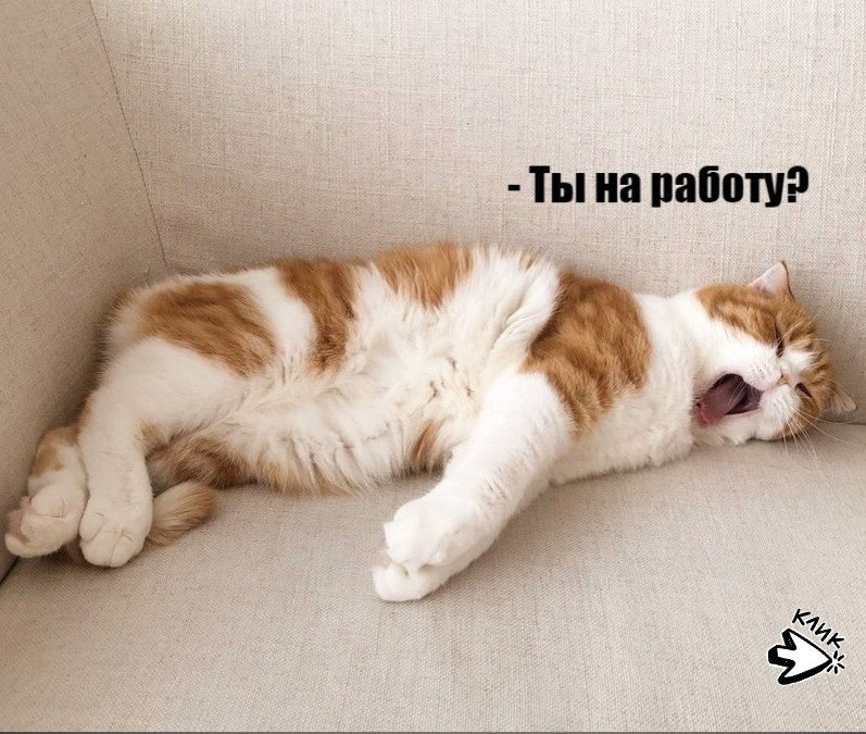 ��� ���� � ����� �� �� - 16 ����� 2026 � 11:30