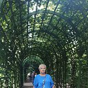 ���� �������, �����-���������, 55 ��� - ��������� 20 �������� 2024 � ������ ���� ����������