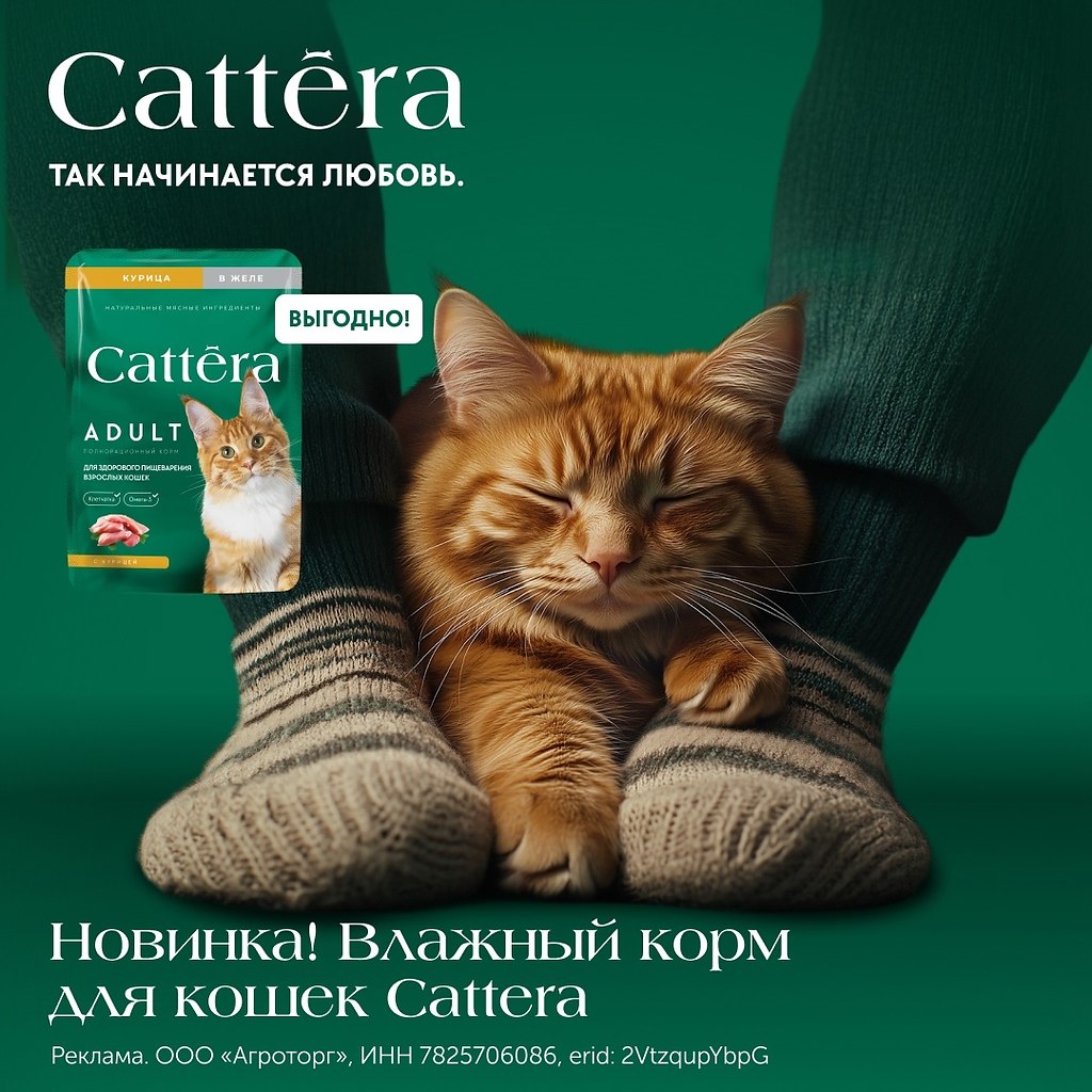         Cattera. Cattera      ...