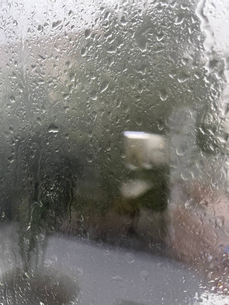  ,    -..)). ..   12 , , ...