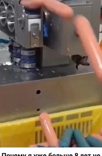 �y�� ��o �pa��a? � �o�o� �� ��o e���? - 2